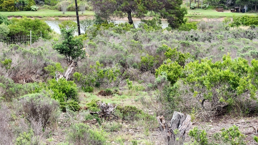 0 Bedroom Property for Sale in Num Num Cape Estate Western Cape